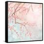 Sweet Cherry Blossoms IV-Evelia Designs-Framed Stretched Canvas