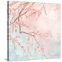 Sweet Cherry Blossoms IV-Evelia Designs-Stretched Canvas