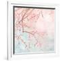 Sweet Cherry Blossoms IV-Evelia Designs-Framed Art Print