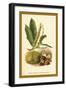 Sweet Chestnut, Blossom and Fruit-W.h.j. Boot-Framed Art Print