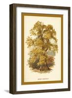 Sweet Chestnut-W.h.j. Boot-Framed Art Print