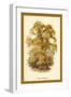 Sweet Chestnut-W.h.j. Boot-Framed Art Print