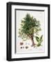 Sweet Chestnut-Johann Kautsky-Framed Giclee Print