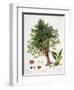 Sweet Chestnut-Johann Kautsky-Framed Giclee Print