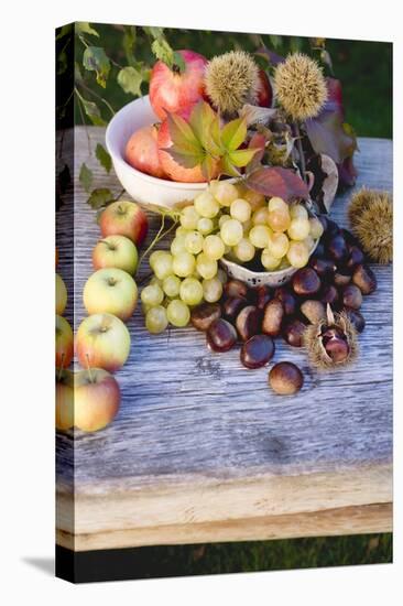 Sweet Chestnuts, Pomegranates, Grapes, Apples and Autumn Leaves-Eising Studio - Food Photo and Video-Stretched Canvas