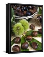 Sweet Chestnuts-Nico Tondini-Framed Stretched Canvas