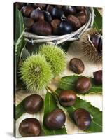 Sweet Chestnuts-Nico Tondini-Stretched Canvas