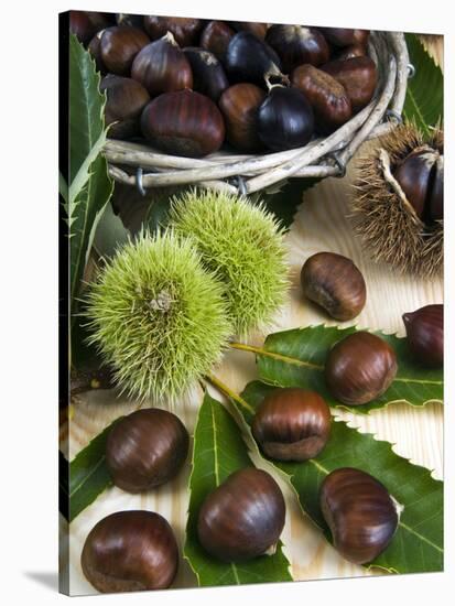 Sweet Chestnuts-Nico Tondini-Stretched Canvas