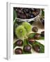 Sweet Chestnuts-Nico Tondini-Framed Premium Photographic Print