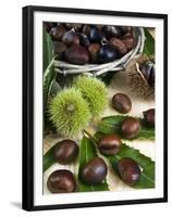 Sweet Chestnuts-Nico Tondini-Framed Premium Photographic Print