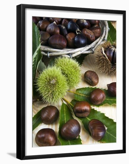 Sweet Chestnuts-Nico Tondini-Framed Premium Photographic Print