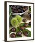 Sweet Chestnuts-Nico Tondini-Framed Premium Photographic Print
