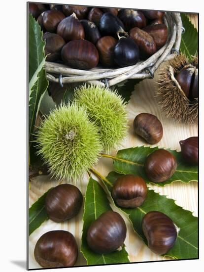 Sweet Chestnuts-Nico Tondini-Mounted Premium Photographic Print