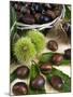 Sweet Chestnuts-Nico Tondini-Mounted Premium Photographic Print