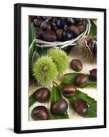 Sweet Chestnuts-Nico Tondini-Framed Photographic Print