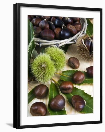 Sweet Chestnuts-Nico Tondini-Framed Photographic Print