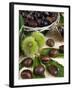 Sweet Chestnuts-Nico Tondini-Framed Photographic Print