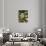 Sweet Chestnuts-Nico Tondini-Photographic Print displayed on a wall