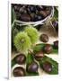 Sweet Chestnuts-Nico Tondini-Framed Photographic Print