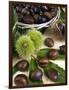 Sweet Chestnuts-Nico Tondini-Framed Photographic Print