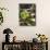 Sweet Chestnuts-Nico Tondini-Mounted Photographic Print displayed on a wall