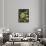 Sweet Chestnuts-Nico Tondini-Framed Photographic Print displayed on a wall