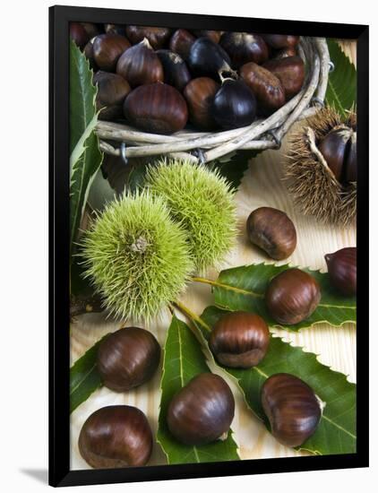 Sweet Chestnuts-Nico Tondini-Framed Photographic Print