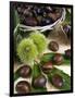 Sweet Chestnuts-Nico Tondini-Framed Photographic Print