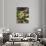 Sweet Chestnuts-Nico Tondini-Photographic Print displayed on a wall