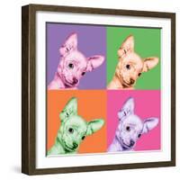 Sweet Chihuahua Pop-Jon Bertelli-Framed Photographic Print