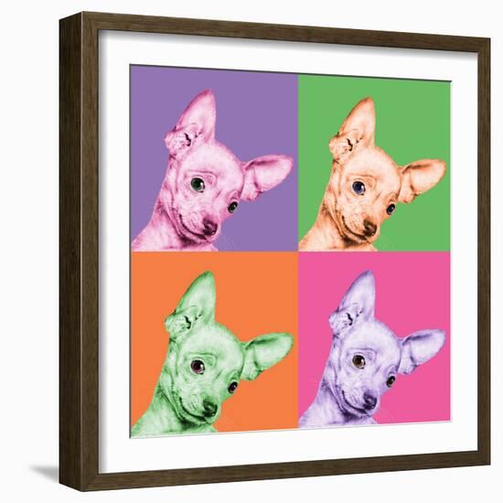 Sweet Chihuahua Pop-Jon Bertelli-Framed Photographic Print