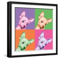 Sweet Chihuahua Pop-Jon Bertelli-Framed Photographic Print