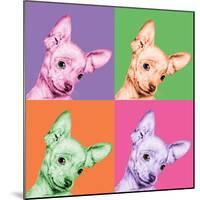 Sweet Chihuahua Pop-Jon Bertelli-Mounted Photographic Print