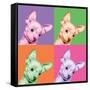 Sweet Chihuahua Pop-Jon Bertelli-Framed Stretched Canvas