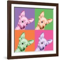 Sweet Chihuahua Pop-Jon Bertelli-Framed Photographic Print