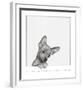 Sweet Chihuahua-Jon Bertelli-Framed Art Print