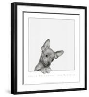 Sweet Chihuahua-Jon Bertelli-Framed Art Print