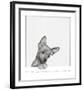 Sweet Chihuahua-Jon Bertelli-Framed Art Print