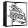 Sweet Corn Ear Maize Woodcut Etching Illustration-ChrisGorgio-Framed Stretched Canvas