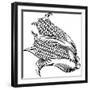 Sweet Corn Ear Maize Woodcut Etching Illustration-ChrisGorgio-Framed Photographic Print