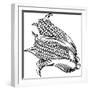 Sweet Corn Ear Maize Woodcut Etching Illustration-ChrisGorgio-Framed Photographic Print