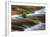 Sweet Creek Detail, Oregon Coast-Vincent James-Framed Photographic Print