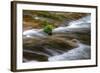 Sweet Creek Detail, Oregon Coast-Vincent James-Framed Photographic Print