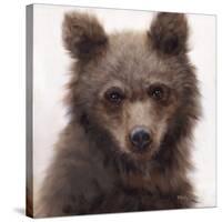 Sweet Cub-Molly Sims-Stretched Canvas
