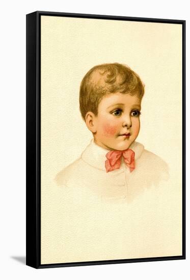 Sweet Daniel-Ida Waugh-Framed Stretched Canvas