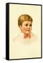 Sweet Daniel-Ida Waugh-Framed Stretched Canvas