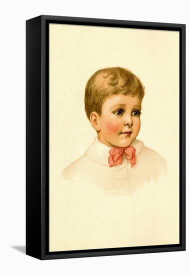 Sweet Daniel-Ida Waugh-Framed Stretched Canvas