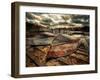 Sweet Dreams-Stephen Arens-Framed Photographic Print