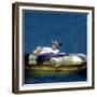 Sweet Dreams-Nancy Tillman-Framed Premium Giclee Print