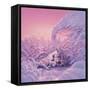 Sweet Dreams-Kirk Reinert-Framed Stretched Canvas